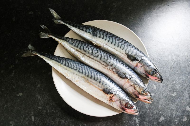 Vitamin B12 (Meat, Fish, Dairy, Fortified Foods)