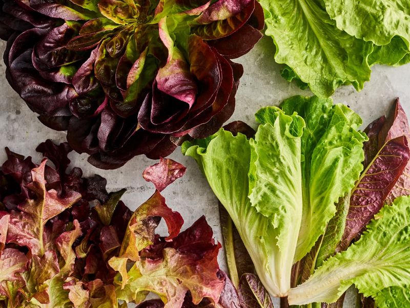 Lettuce And Leafy Greens