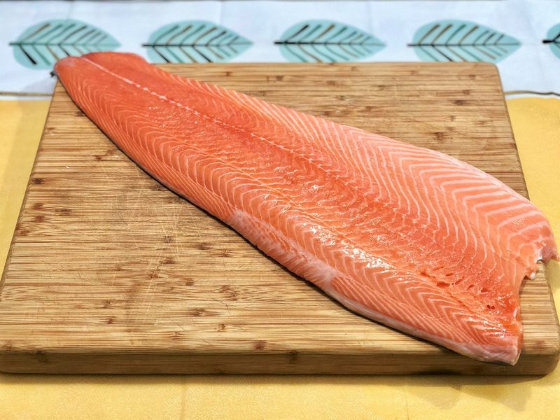 Salmon