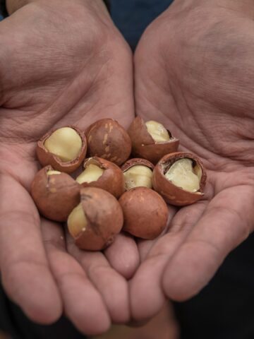 8 Nuts Seniors Shouldn’t Eat