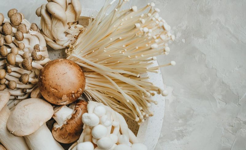 Exotic Mushrooms