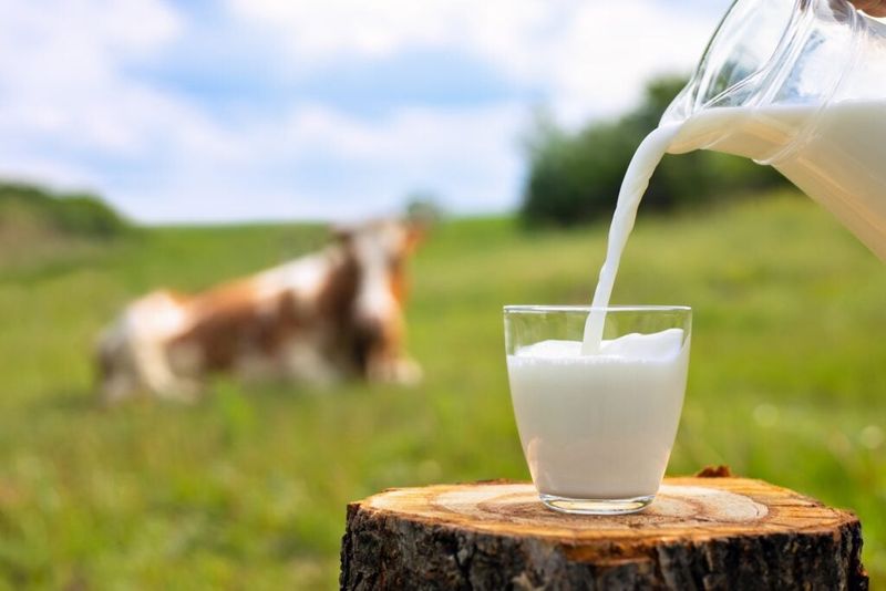 Milk From Cows Treated With rBST