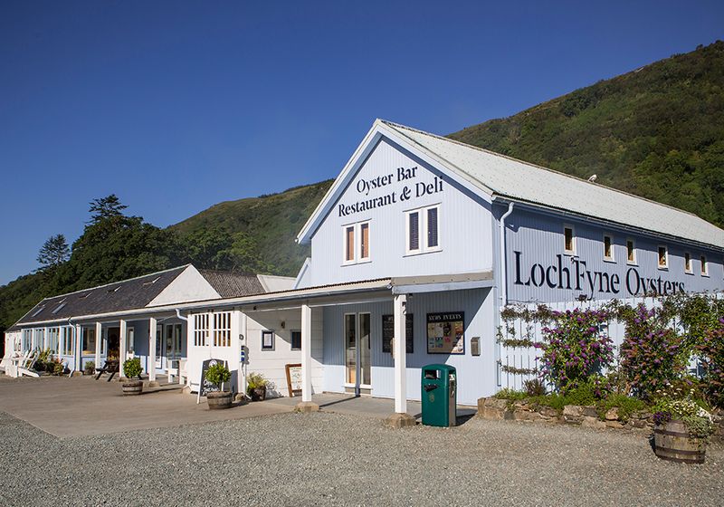 Loch Fyne Oysters