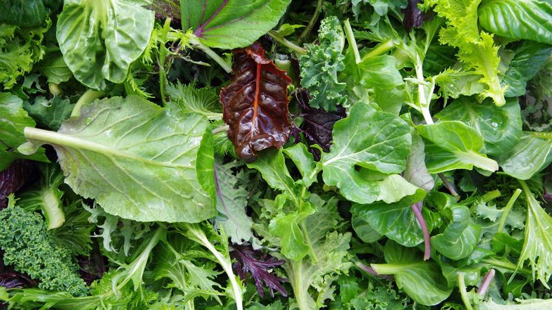Leafy Greens