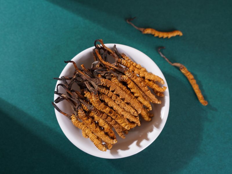 Yartsa Gunbu (Caterpillar Fungus)