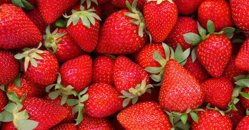 Promotes Seasonal Eating