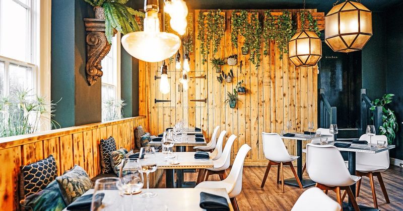 Support Restaurants And Brands With Sustainable Practices
