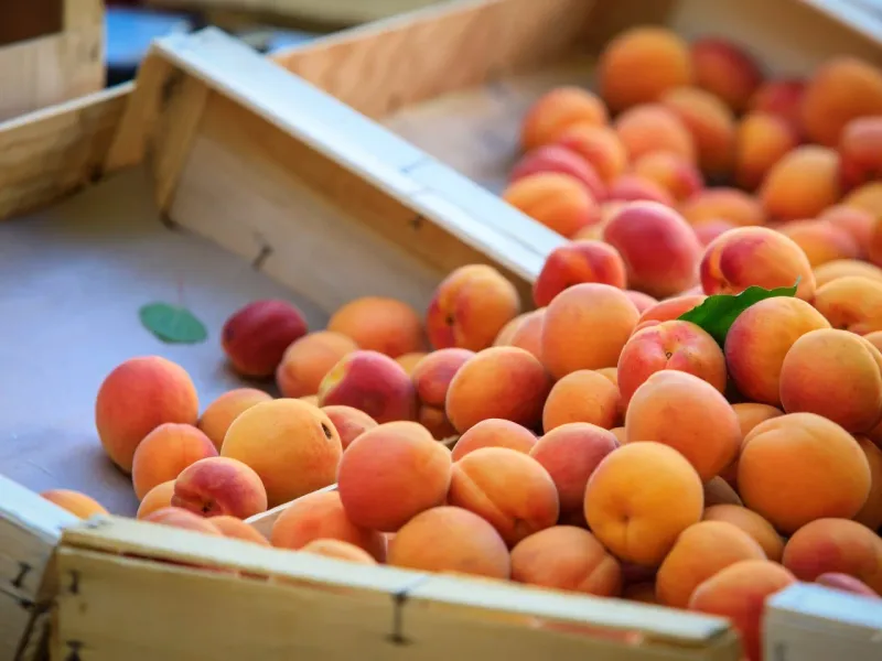 Apricots
