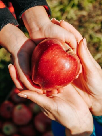 Celebrate Apple Day On 21 October With Britain's Favourite Orchard Recipes