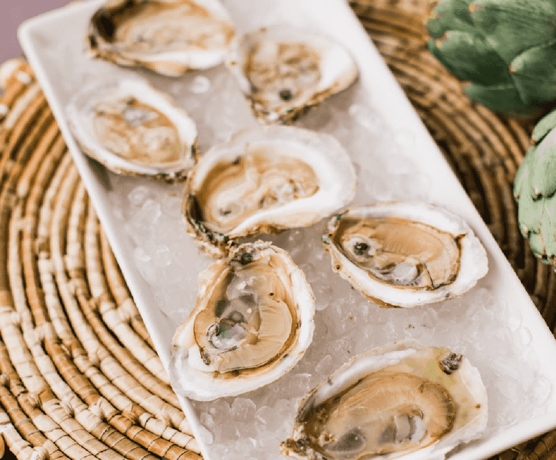 Oysters