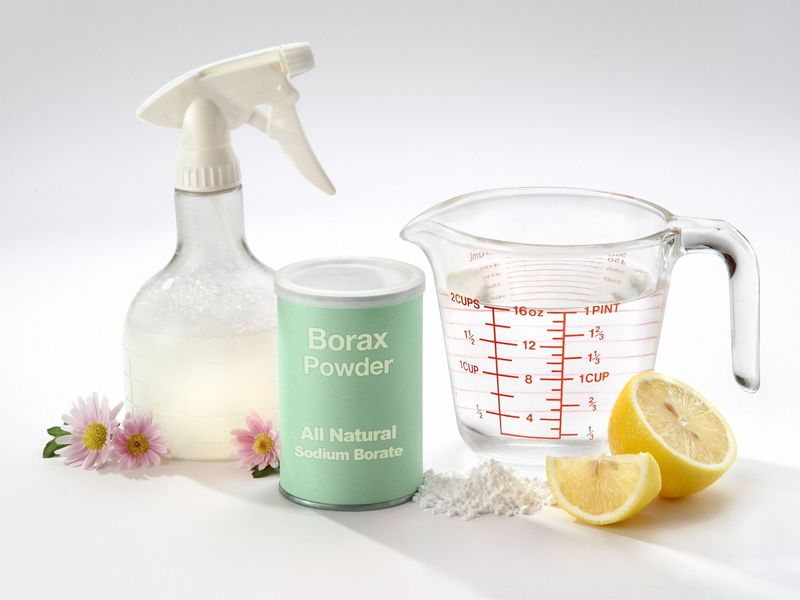 Boric Acid And Borax Preservatives