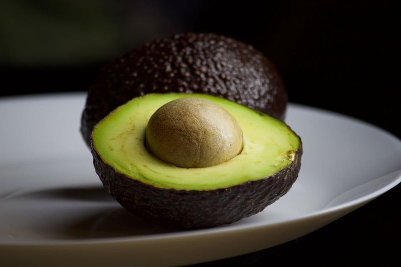 Avocado