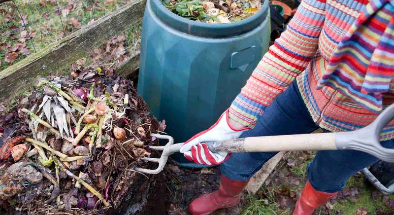 Compost Food Scraps Instead Of Sending Them To Landfill