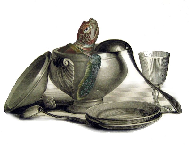 Turtle Soup
