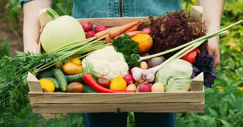 Organic Produce – You Care About Wellness