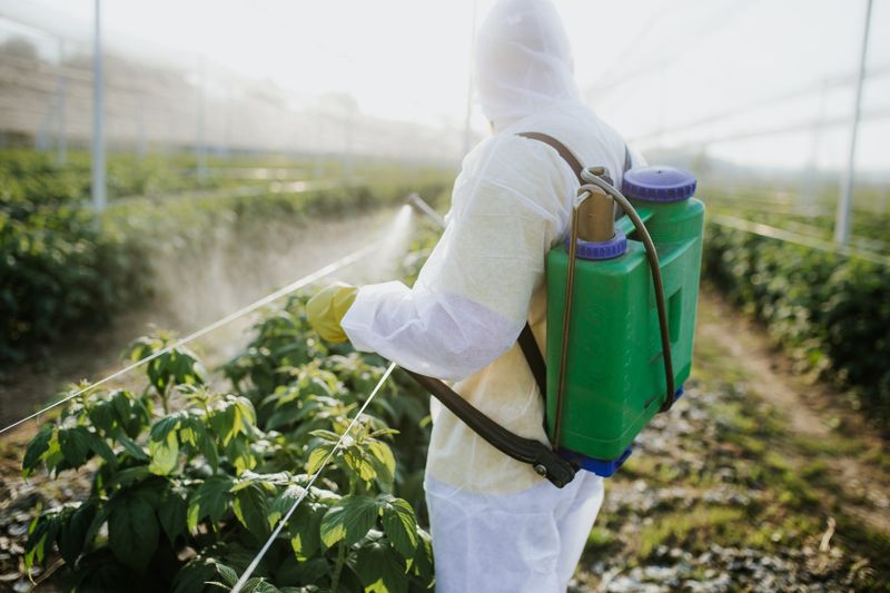 Use Of Pesticides