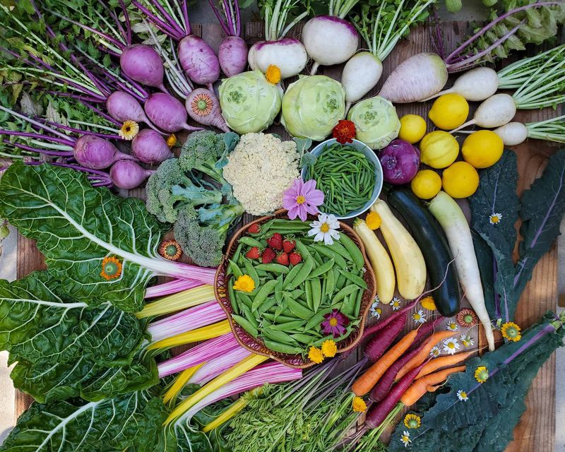 Vegetables That Boost The Total