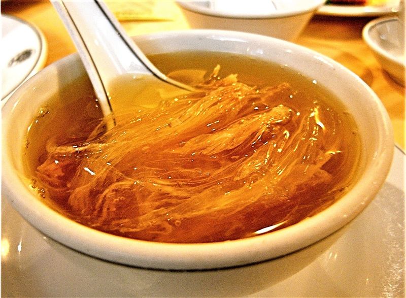 Shark Fins (United States)