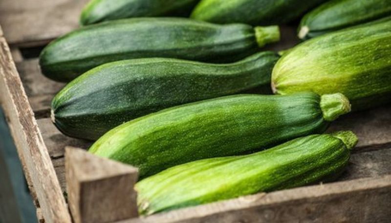 Courgette