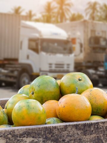 How Far Your Food Really Travels Before It Reaches a UK Supermarket Shelf