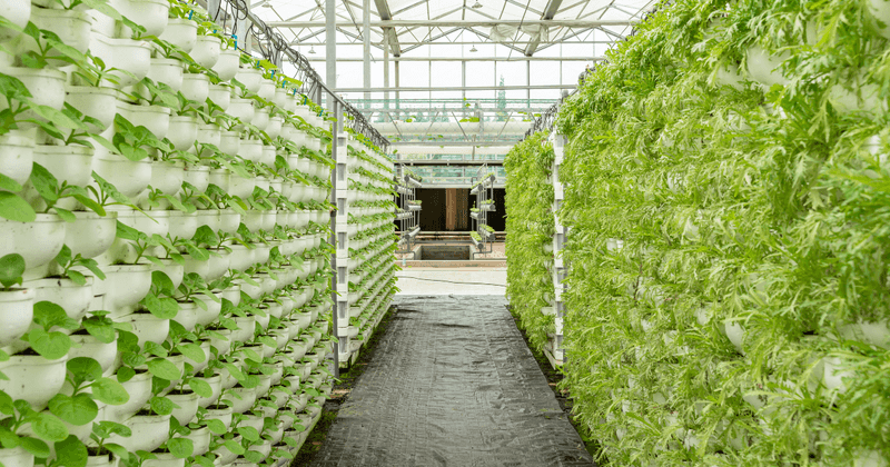Future Trends In Food Sourcing