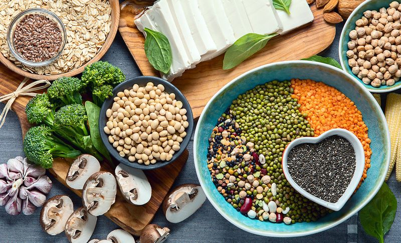 Changes In Protein Sources And Quality