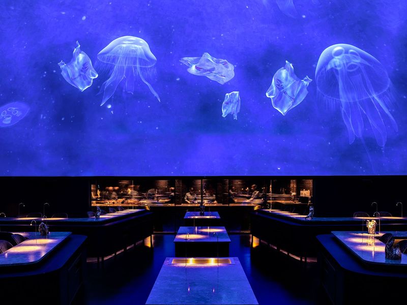 Fifty Courses, One Unforgettable Journey