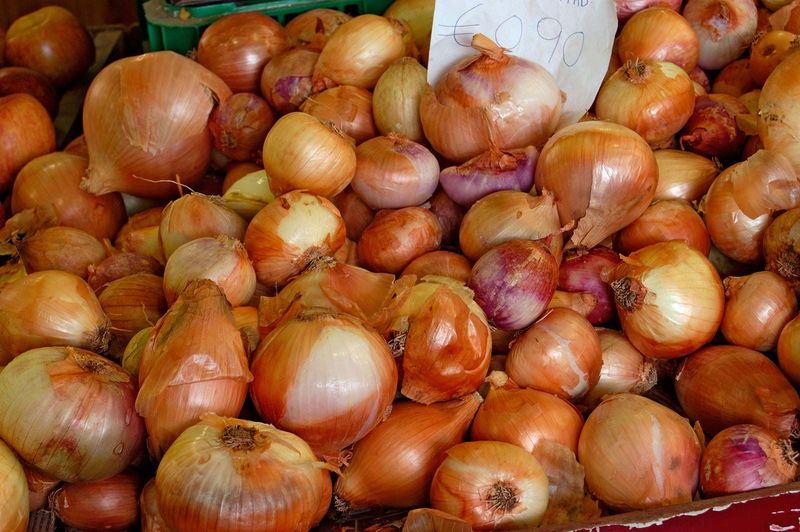 Bermuda Onions