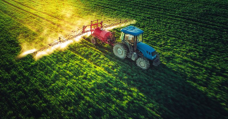 Supporting Sustainable And Local Agriculture