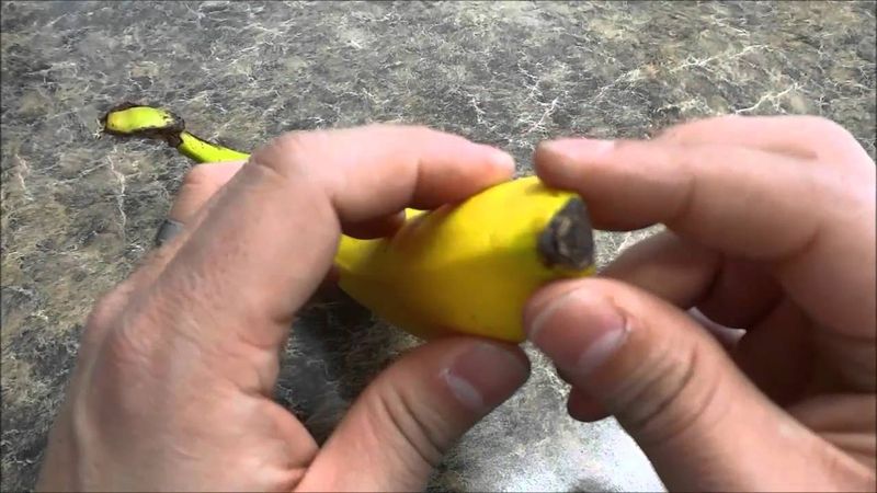 Bananas