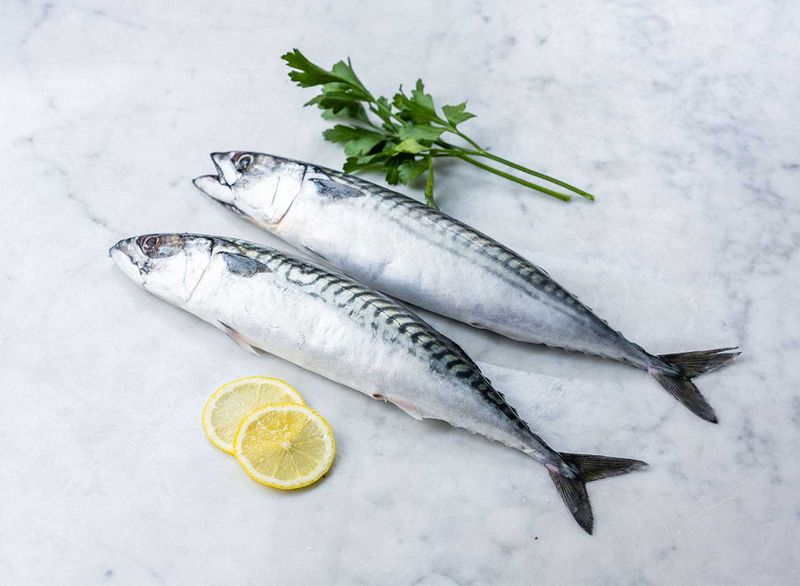 Fatty Fish Rich In Omega-3s Like Salmon And Mackerel