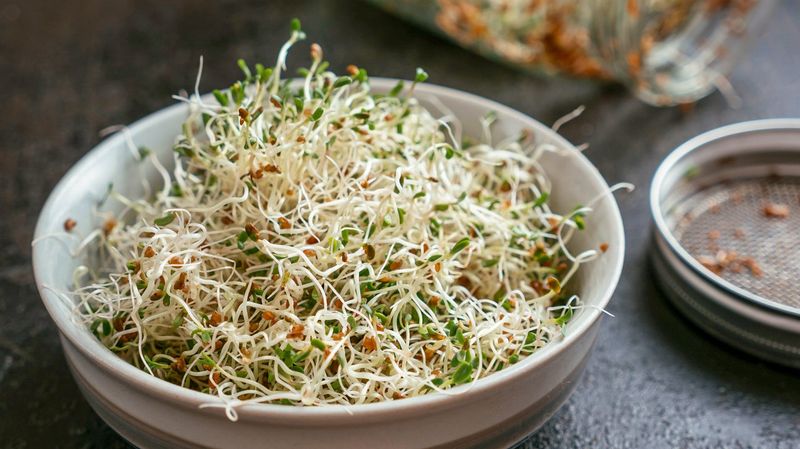 Raw Sprouts Such As Alfalfa, Clover And Radish