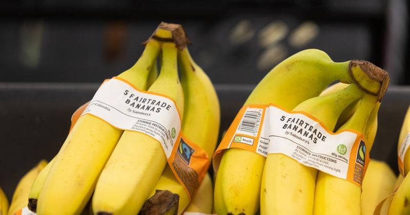 A Bunch Of Bananas From Sainsbury's