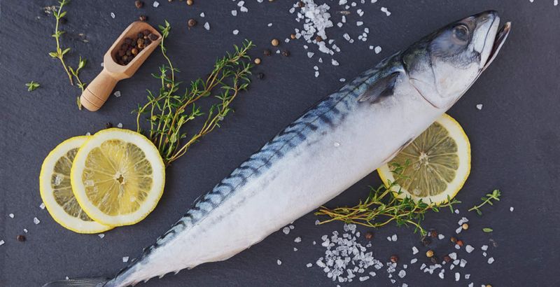 Mackerel
