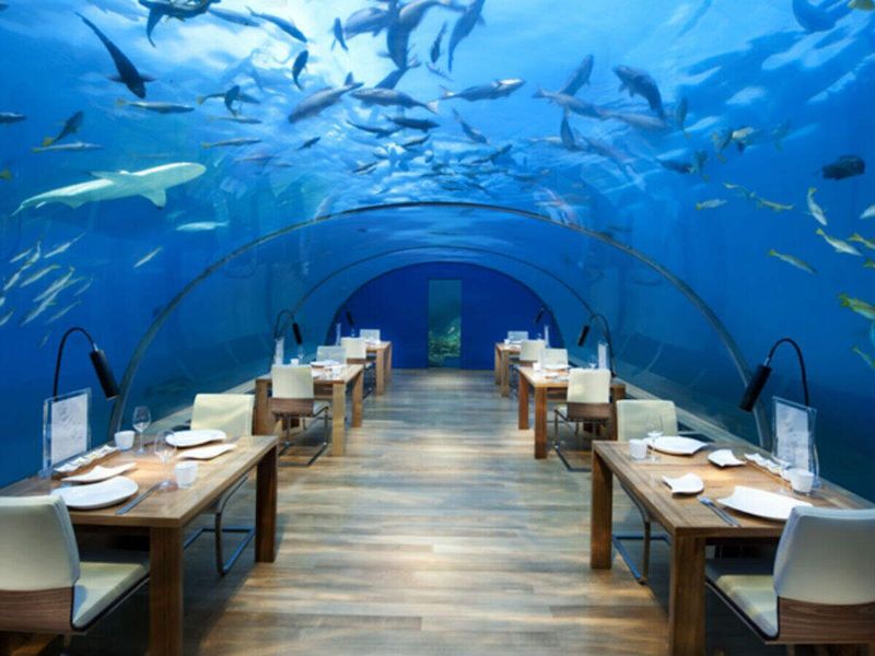 Ithaa Undersea Restaurant, Maldives