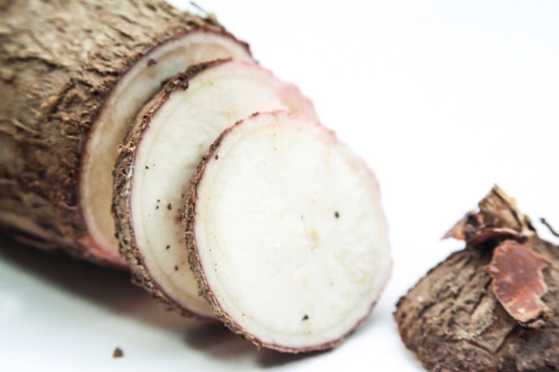 Cassava