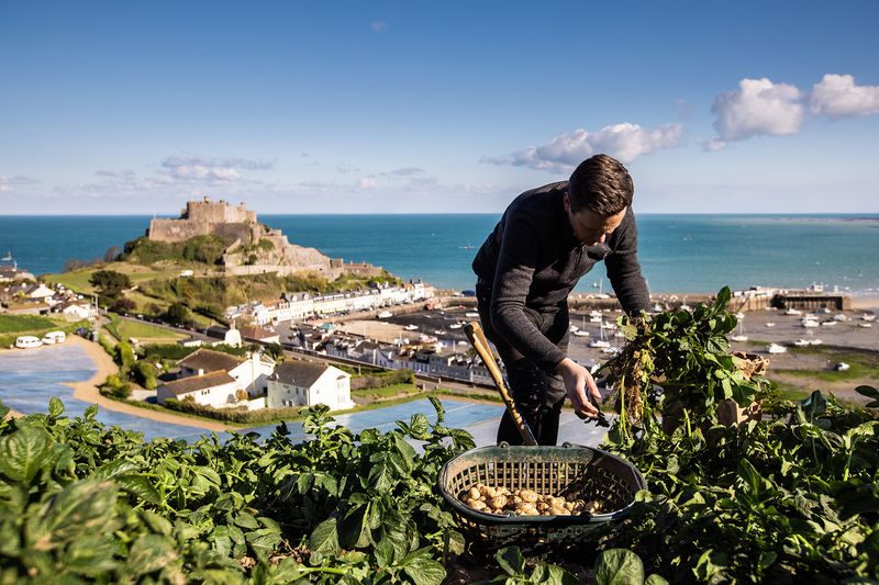 Jersey Royal Potatoes