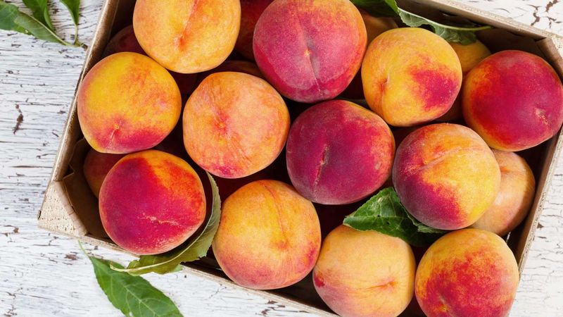 Peaches