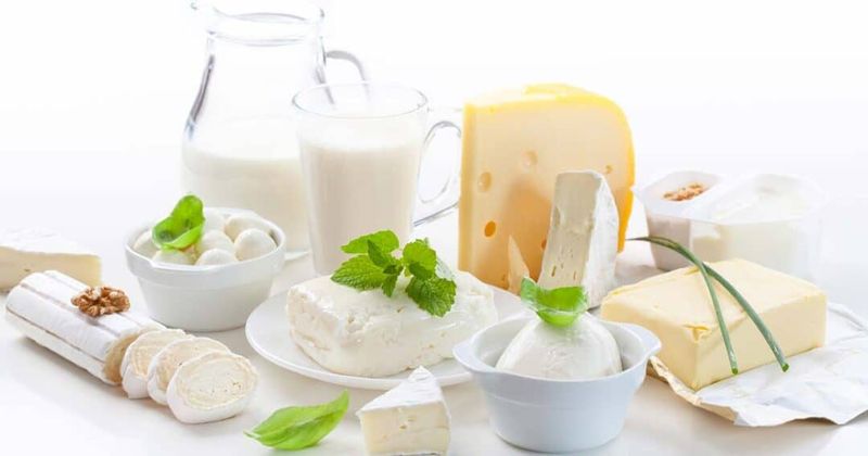 Dairy Products