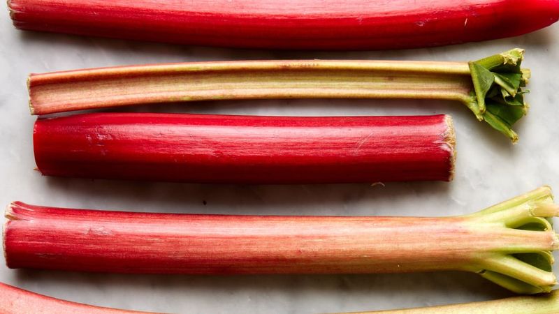Rhubarb