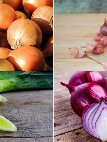 The Different Types Of Onions And When To Use Each