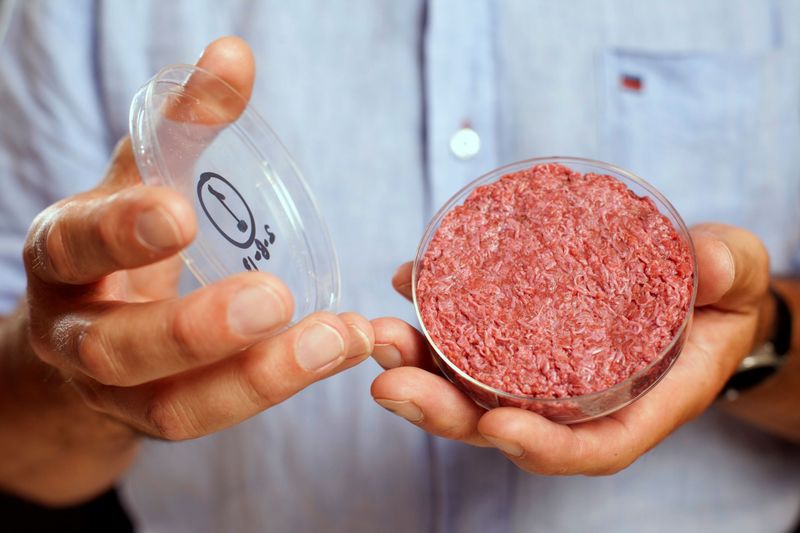 What The Future Holds For Plant-Based Protein