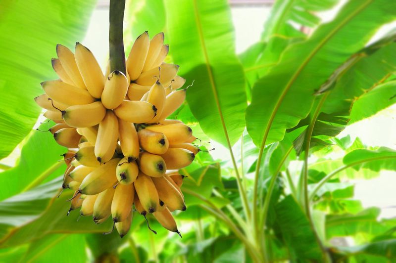 Why Some Foods Travel Thousands Of Miles