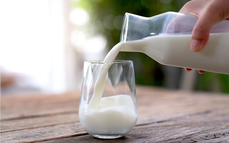 Cow's Milk