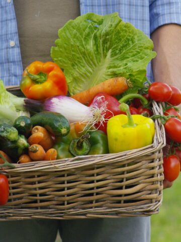 The Real Difference Between Organic And Regular Food