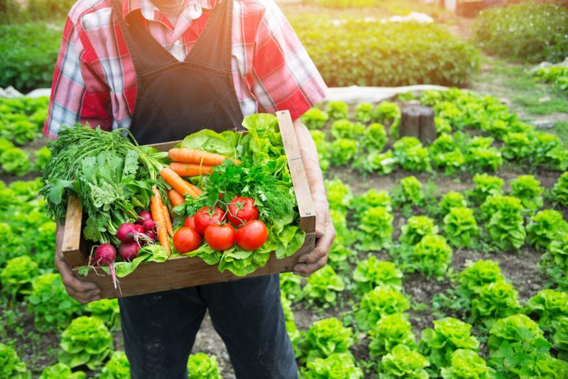 Farming Methods