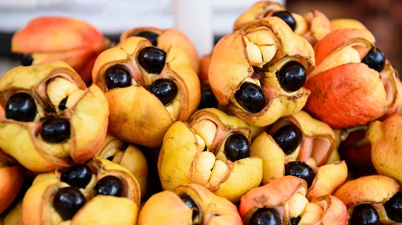 Ackee Fruit (United States)