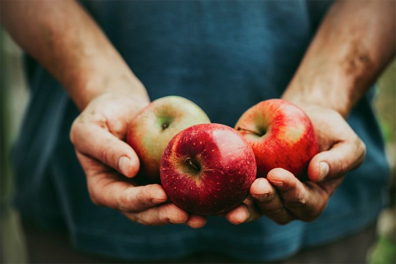 How Apples Can Help Digestion