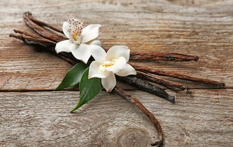 Vanilla Beans