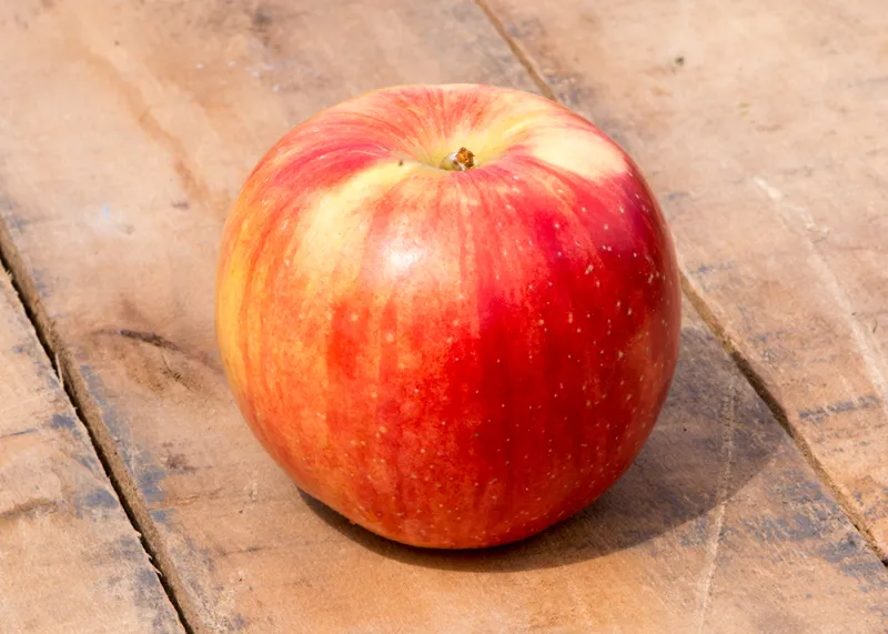 Apples